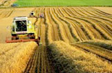 Agricultural 